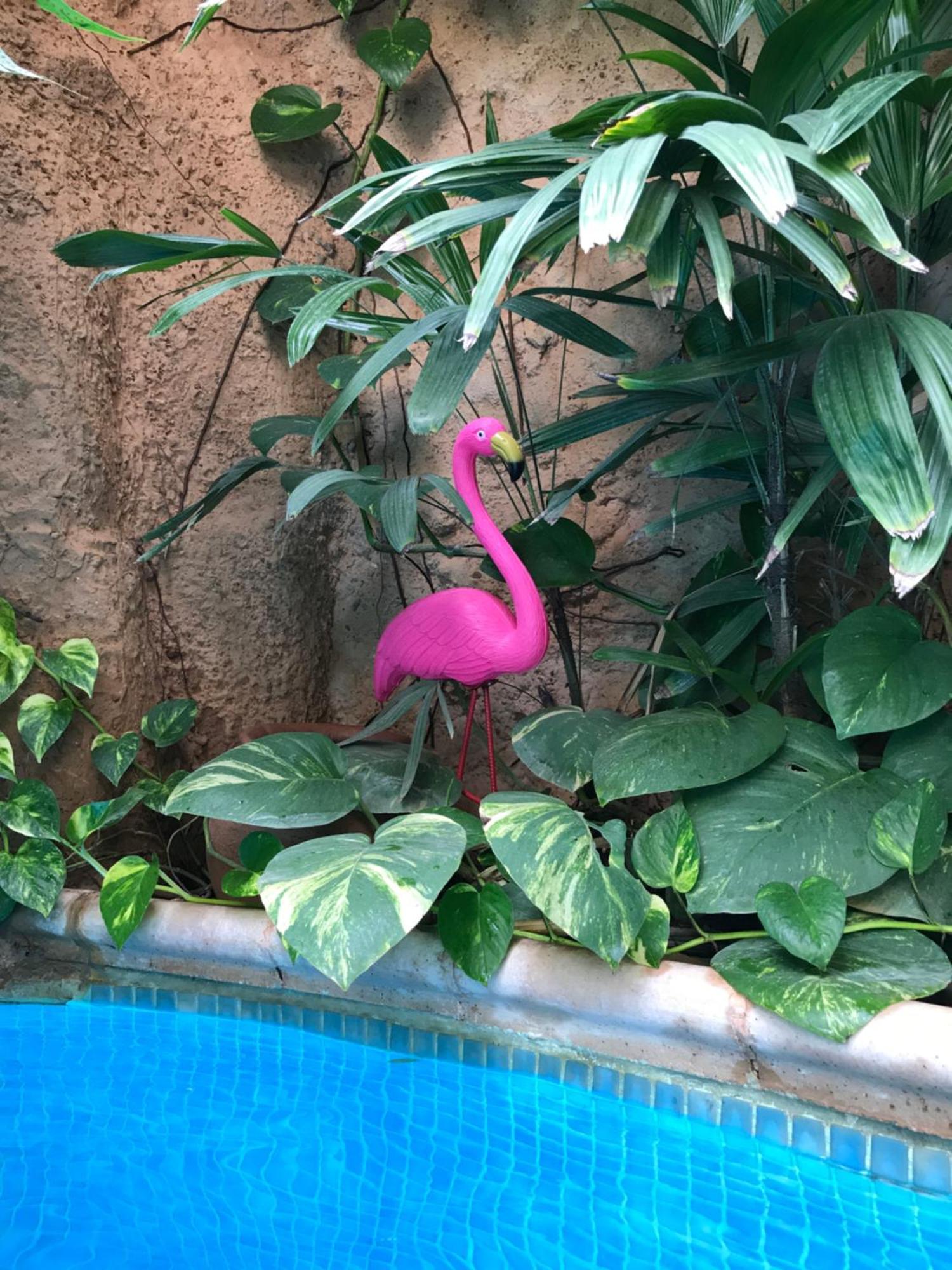 Tropical Oasis Apartment Ouakam ภายนอก รูปภาพ