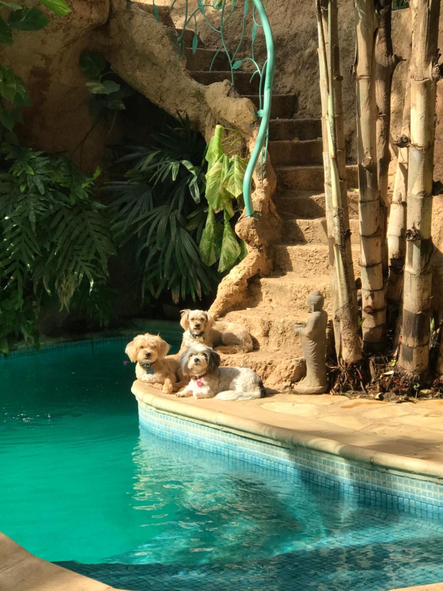 Tropical Oasis Apartment Ouakam ภายนอก รูปภาพ